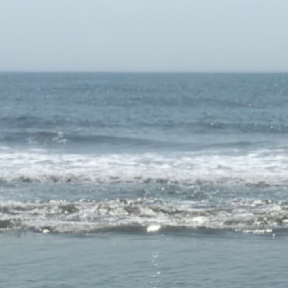 Meet your Posher, Gianna